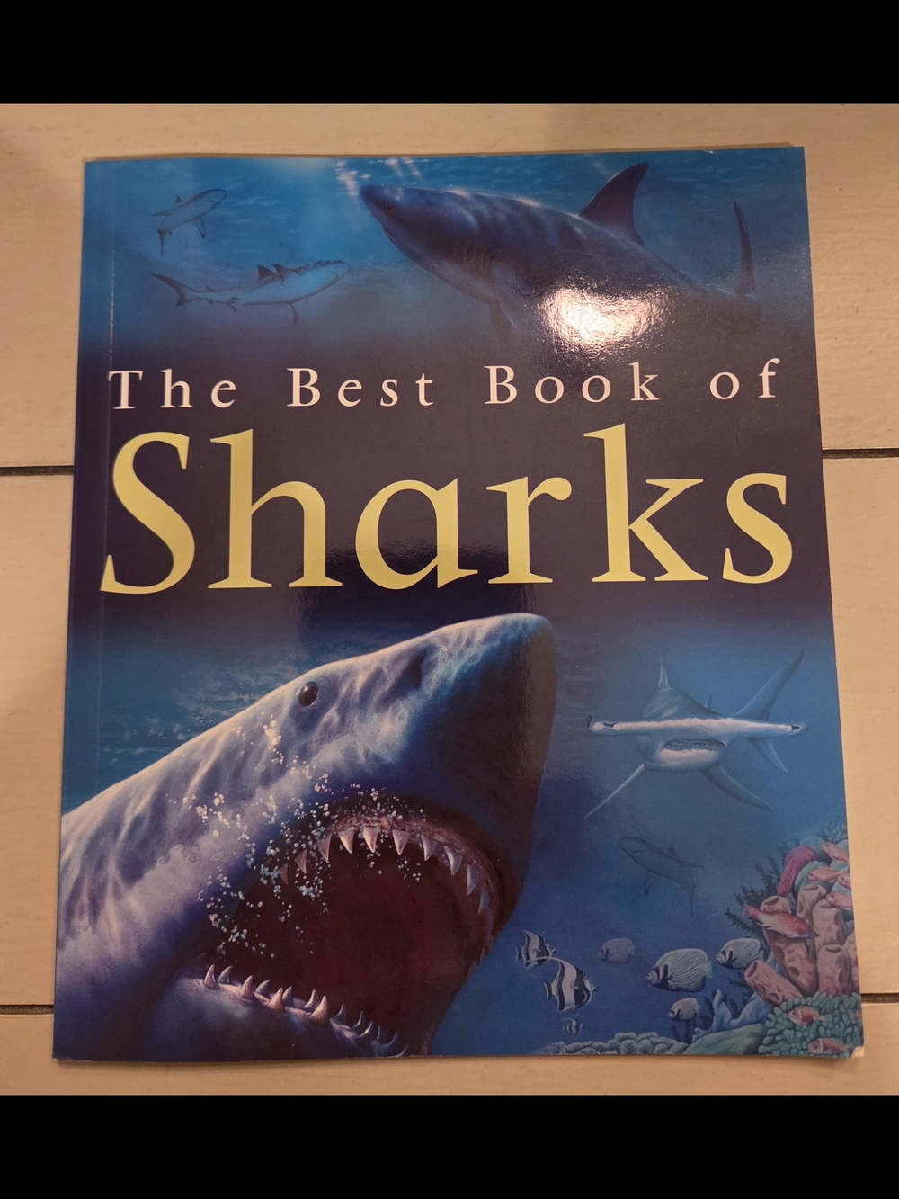 "The Best Book Of Sharks" - Paperback - By Kingfisher Books